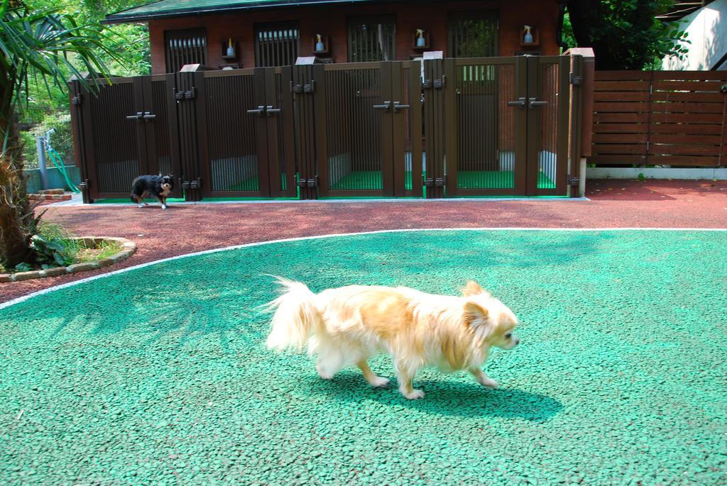 Okumizuma Onsen Hotel Kaizuka Esterno foto